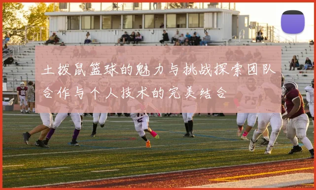土拨鼠篮球的魅力与挑战探索团队合作与个人技术的完美结合