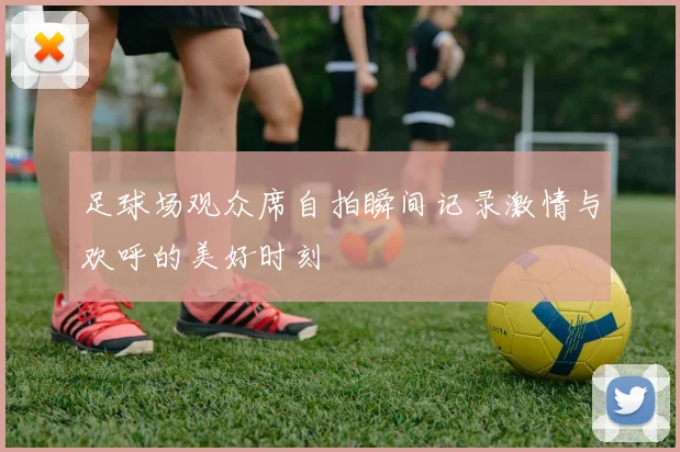 足球场观众席自拍瞬间记录激情与欢呼的美好时刻