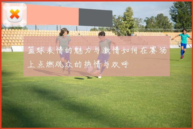 篮球表情的魅力与激情如何在赛场上点燃观众的热情与欢呼